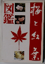 桜と紅葉図鑑