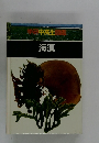 学中高生図鑑  海藻