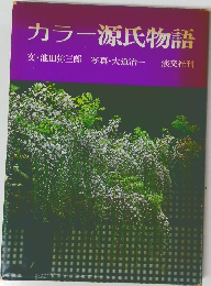 カラー源氏物語　