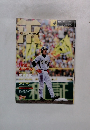 MONTHLY HANSHIN　TIGERS　2007年4月号