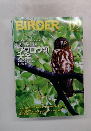 BIRDER　2015年9月号