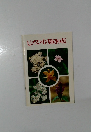 ビーナスライン周辺の花