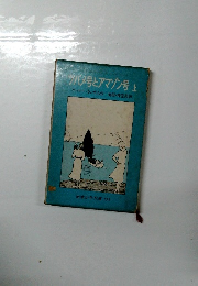 ツバメ号とアマゾン号上