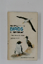 THE NEW GUIDE TO THE  BIRDS  OF NEW ZEALAND