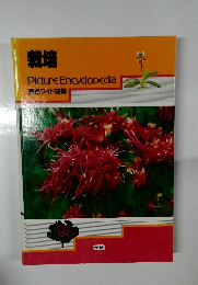 栽培　Picture　Encyclopedia