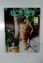 ねこのきもち　2019年5月号