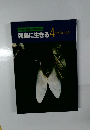 列島に生きる 4　小さないち