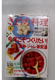 NHKきょうの料理　1996年6月号