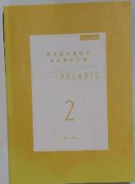 POLARIS 2