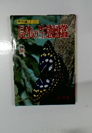 学習図鑑シリーズ28昆虫の生態図鑑