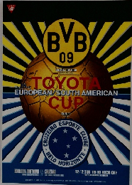 TOYOTA　EUROPEAN　SOUTH　AMERICAN