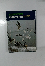 NHKカセット自然のアルバム列島に生きる移りゆく季節