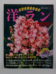 洋ラン 咲かせ方のコツ