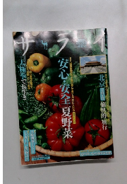 サライ　2008－6