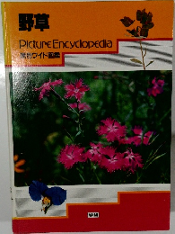 野草 Picture Encyclopedia