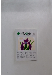 The Palm 春  ザ・バーム 第44号