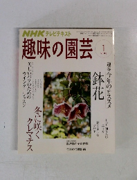 NHK テレビテキスト 趣味の園芸 2008年1月号