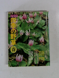 四本の野草 春