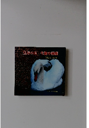 皇居の鳥・生態小図鑑