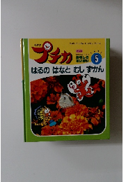 プチカ　1995年5月号