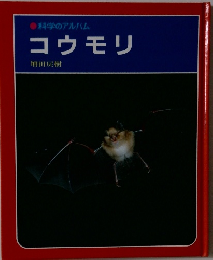 コウモリ　
