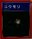 コウモリ　