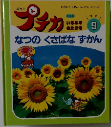 プチカ　1995年9月号　