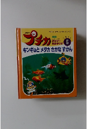 プチカ　1995年6月号