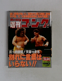 週刊ゴング　1996年11月号　No.638