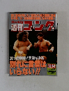 週刊ゴング　1996年11月号　No.638