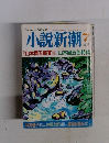小説新潮  7　　1995
