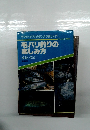 毛バリ釣りの楽しみ方　