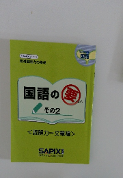 国語の要 その2　読解力ー文章編