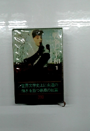 世界文学史上に永遠の輝きを放つ最高の巨篇