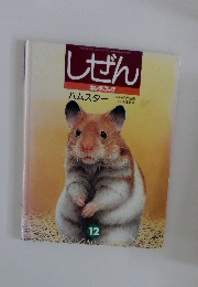 しぜん　12月号