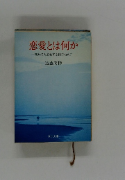 恋愛とは何か  初めて人を愛する日のために