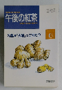 午後の紅茶　1993年6月号