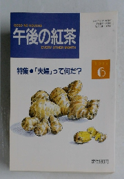 午後の紅茶　1993年6月号