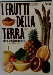 I FRUTTI  DELLA  TERRA