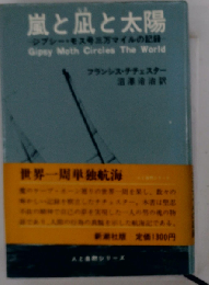 嵐と凪と太陽 ジプシー・モス号三万マイルの記録
