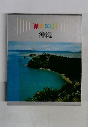 WIDECOLOR 沖繩