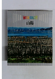 WIDECOLOR　山陽