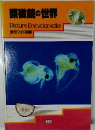 顕微鏡の世界　Picture　Encyclopedia