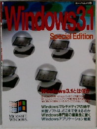 Windows 3.1