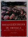ロードデンドロン・イン・アメリカ