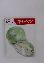 しぜん　3　キャベツ