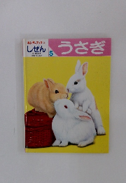 キンダーブック 3  しぜん　うさぎ