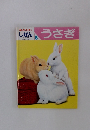 キンダーブック 3  しぜん　うさぎ