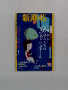 新潮　45　2004年8月号