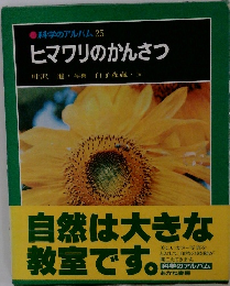 科学のアルバム 25  ヒマワリのかんさつ